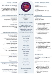 cvDragon Resume 2